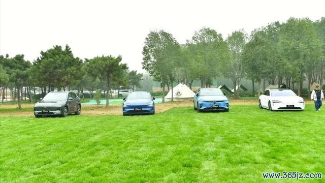 消夏大餐、潮玩失业……副中心推出暑期宠客“十五条”!超多精彩等你来~